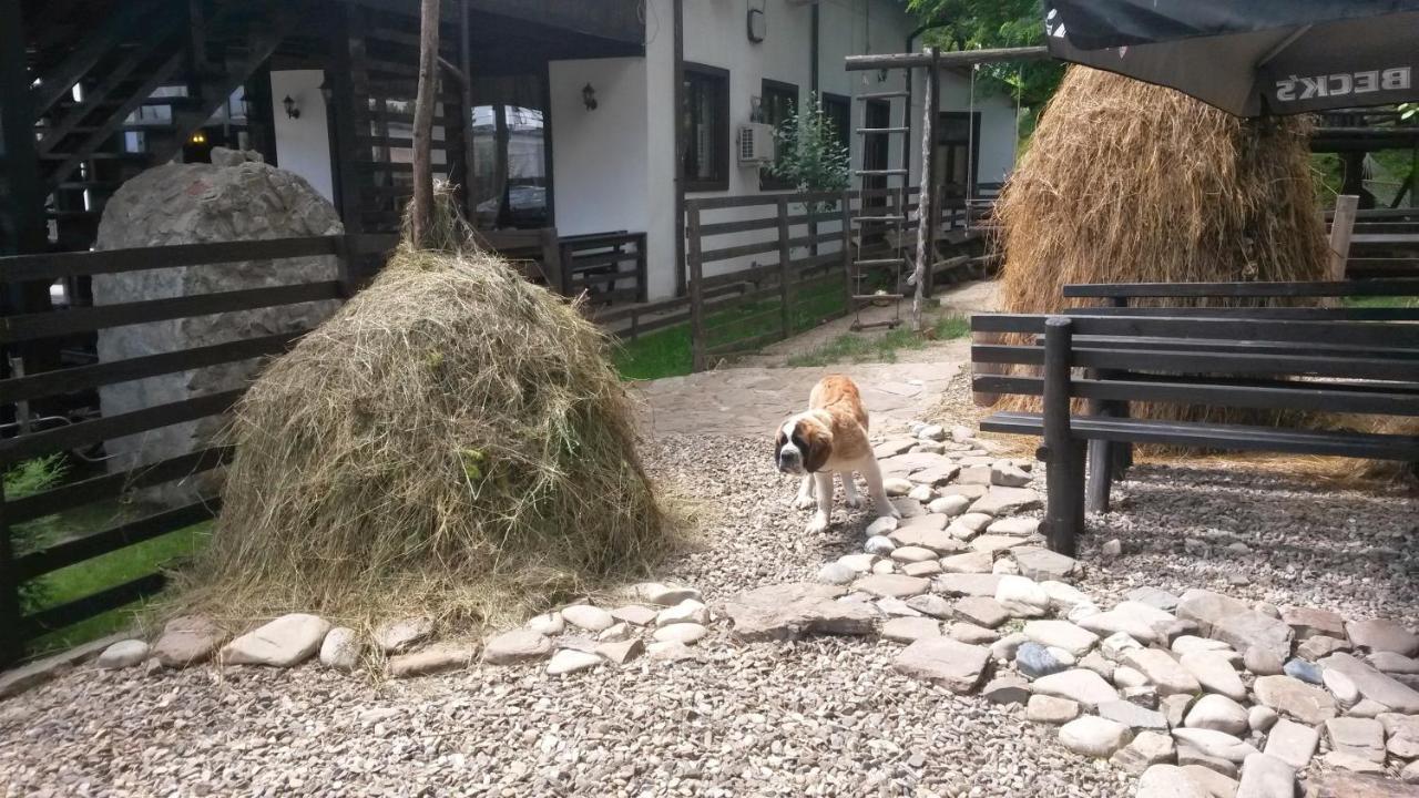 Pension Casa Drumetului Piatra Neamţ Екстериор снимка