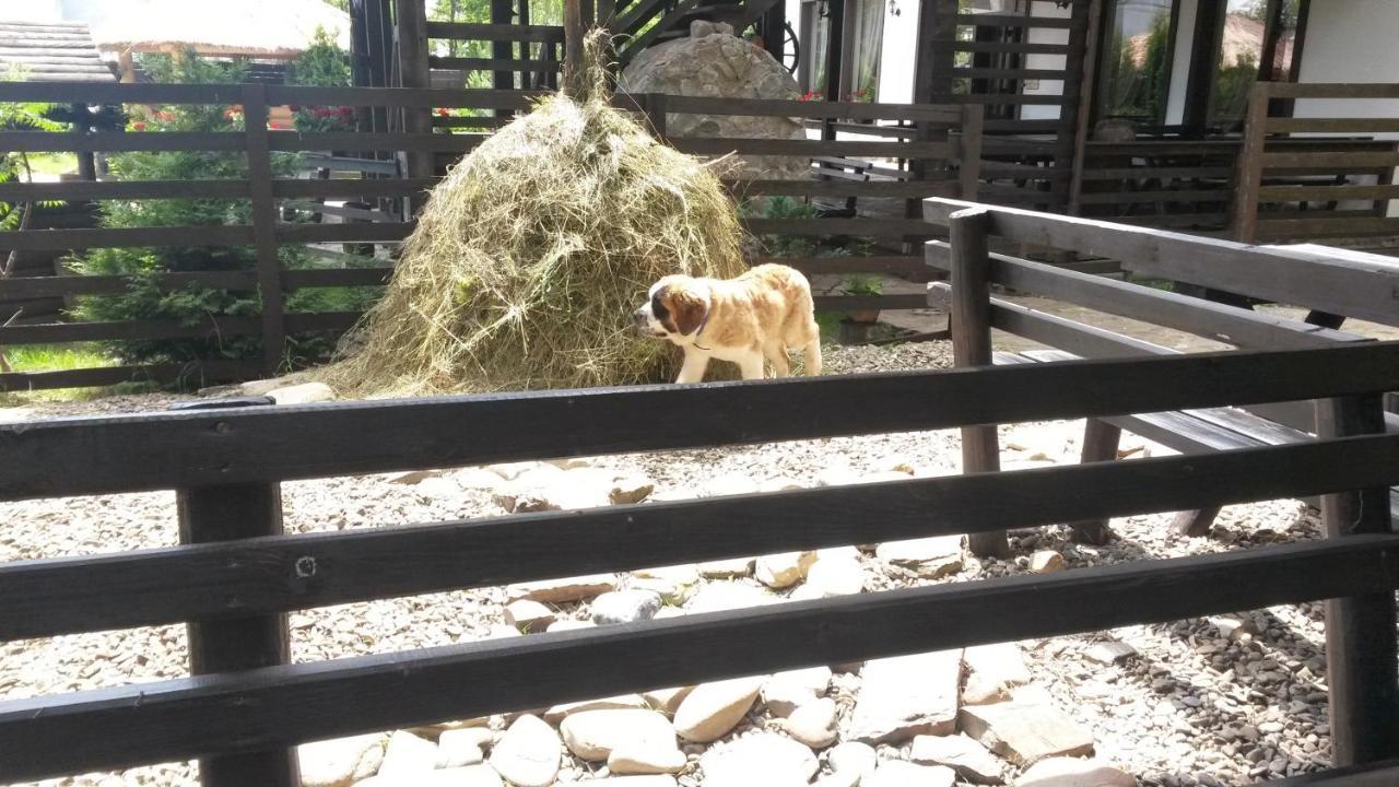 Pension Casa Drumetului Piatra Neamţ Екстериор снимка
