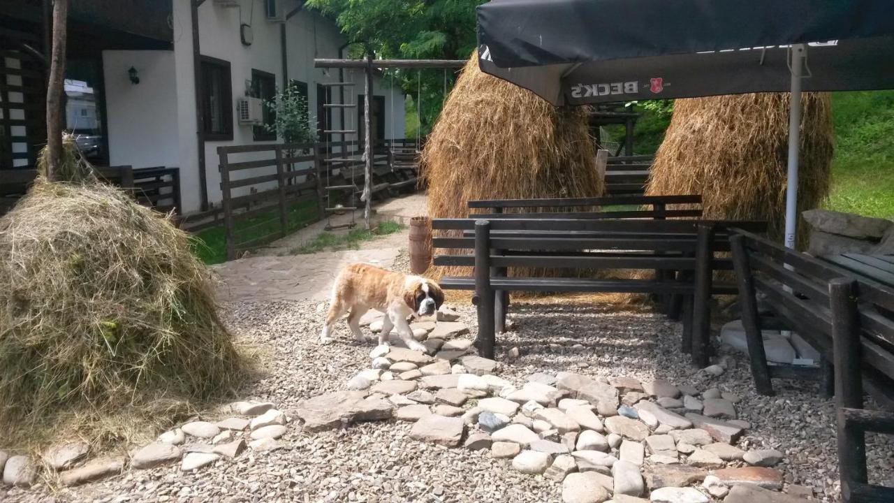 Pension Casa Drumetului Piatra Neamţ Екстериор снимка