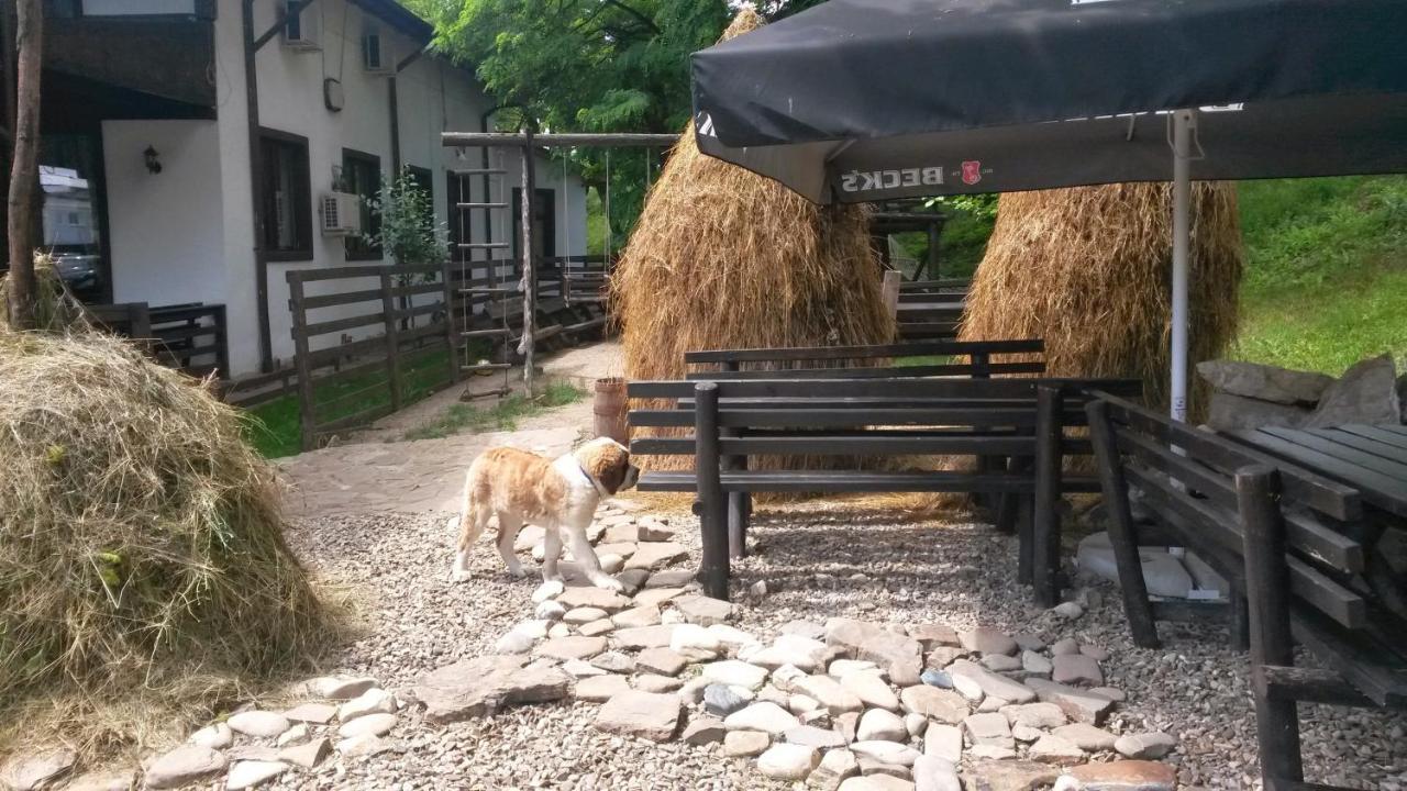 Pension Casa Drumetului Piatra Neamţ Екстериор снимка