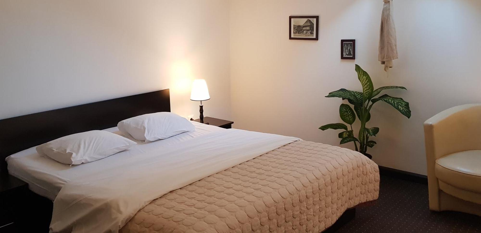 Pension Casa Drumetului Piatra Neamţ Екстериор снимка