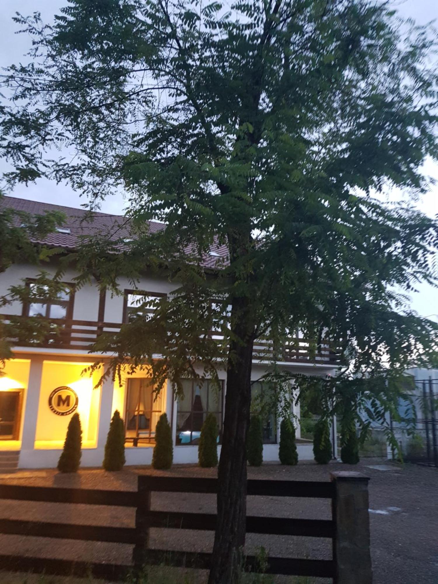 Pension Casa Drumetului Piatra Neamţ Екстериор снимка